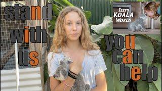 Every  Koala Counts  - Izzy Bee of Izzys Koala World tells how can you help the koalas of Gilead