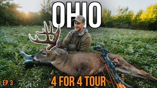 My Biggest Bow Buck EVER! | Ohio Public Land