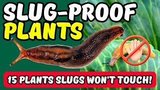 15 Plants Slugs WON’T Touch!   Slug-Proof Plants That Will PROTECT Your Garden! 