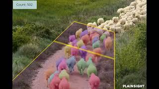 Computer vision app counts sheep without sleep!