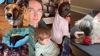 Day in the Life of Disabled Mom: Kids, Dogs, Service Dog Prospect, & Pancakes.