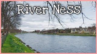 Afternoon Walk || RIVER NESS || INVERNESS SCOTLAND