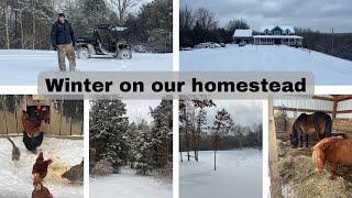 Winter Day on our Kentucky Homestead: Farm chores, hiking, & ATV trail rides in snow!