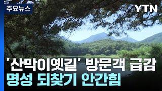 관광명소 '산막이옛길' 방문객 급감...재단장 안간힘 / YTN