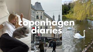 copenhagen diaries | new furniture, baking & fav breakfast spot!