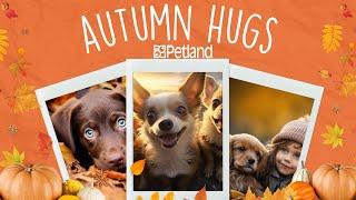 Autumn Puppy Hugs