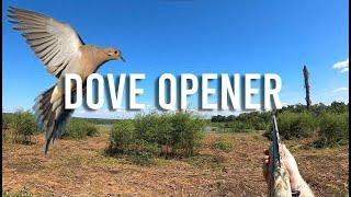 DOVE HUNTING OPENING DAY | 2024 Virginia Dove Hunt (LIMITS)