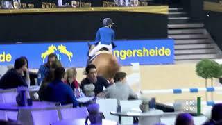 Comilfo Plus Z- Comme Il Faut x Balou du Rouet- Young Stallions 7 years   Jumping Mechelen 2016