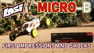 1/24 SCALE LOSI MICRO-B 2WD BUGGY RTR