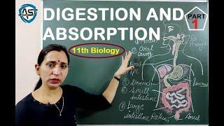 DIGESTION AND ABSORPTION | INTRODUCTION | ORAL CAVITY |