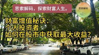 财富增值秘诀：个人投资者如何在股市中获取最大收益？掌握风险与收益的艺术，个人投资者的生存指南，The Individual Investor's Survival Guide，The Secret t