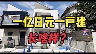 价值一亿日元的东京一户建长啥样？？？今天正弦带你来看看田园调布新一户建，采光很好，环境超安逸！//日本房产