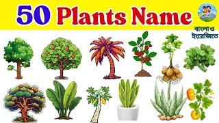 50 Plants Name in Bengali and English | গাছপালার নাম | Learn Tree & Plant Names for Kids