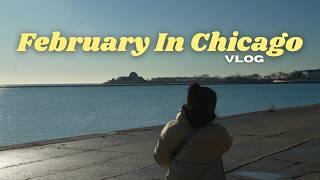 living in chicago winter | Feb 2025 vlog | the cold is over!