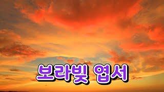 보라빛 엽서 / 설운도 노래 /  영원한방랑객 열창 / 미스터트롯