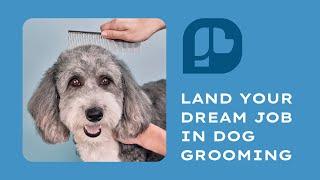 Train With Us | Paragon School of Pet Grooming