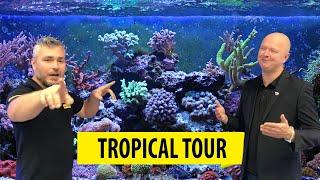 TROPICAL TOUR | Visiting aquarists/Z wizytą w Trzmielu (ENG SUB)