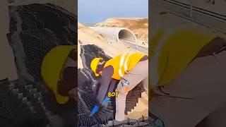 Почему дороги ОАЭ НИКОГДА НЕ Ломаются!