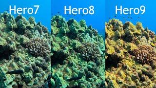 GoPro Hero9 Hero8 Hero7 Underwater Auto White Balance Comparison - GoPro Tip 681 | MicBergsma