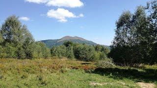 Połonina Wetlińska (Bieszczady Zachodnie) - 1255 m n.p.m.