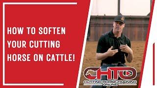 How To Soften Your Cutting Horse On Cattle!