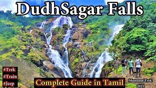 Dudhsagar Waterfalls in Tamil | Dudhsagar Trekking in Tamil |Dudhsagar Waterfall Goa #dudhsagarfalls