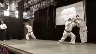 Aikido Yoshinkan Suisse - Démo Japan Impact 2015