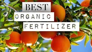 Citrus Plants - Orange & Lemon - Best ORGANIC Fertilizer | caring orange tree | Lemon plant | Espoma