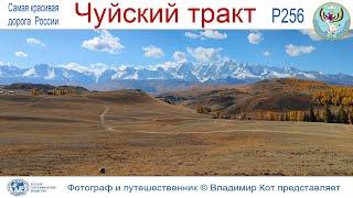 Авто-Путешествие на Алтай: Чуйский тракт заканчивается в Монголии - главное вовремя остановиться!