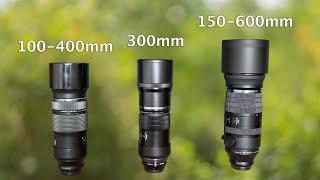 OM system - Comparison of Telephoto Lenses for Wildlife Photography