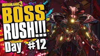 BOSS RUSH EXTREME - Day #12 | Maliwan Takedown & Guardian Takedown Legendary Loot [Borderlands 3]