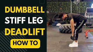 How to do Dumbbell Stiff Leg Deadlift or RDL the correct way (Perfect Technique Tutorial)