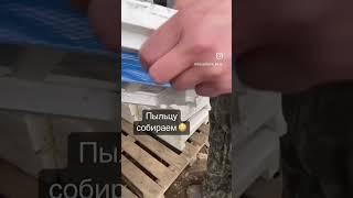 Знали, что пыльцу можно собирать и есть?) #пчеловодство #природа #пчелы #мёд