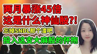 一支低调暴涨的大麻股！一支升天的神仙股！另一支可以埋伏的医药股！NaNa说美股(2021.02.08)