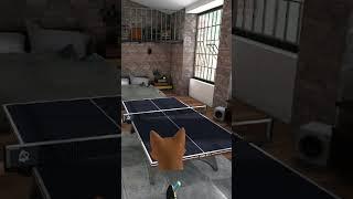 Crazy Rally VR Table Tennis #shorts