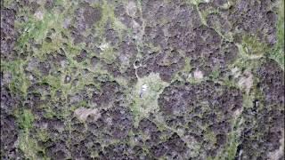 Eyam Moor & Wet Withens Stone Circle