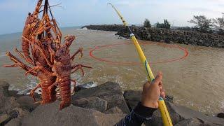 CABO DE GUERRA COM AS GIGANTES!!! Pesca da lagosta no ANZOL | SISTEMA DO CHUVEIRINHO.