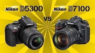 Nikon D5300 vs Nikon D7100