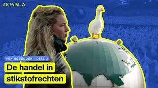 Wat gebeurt er met de stikstofrechten van leegstaande eendenhouderijen? | Deel 2 | Zembla