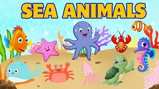 SEA ANIMALS | Learn Sea Animals for KIDS | Kids English Vocabulary | Kids Educational Video