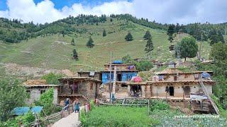 Himalayan Nepali Village Life ||Very Beautiful Nepali Village Life ||Jumla ||Karnali