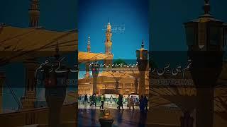 Ye Tera Kaam Hai Ay Amina Kay Dur E Yateem#sahibzadamuhammadyousufazhar Muj Pay Bhi Chashm E Karam