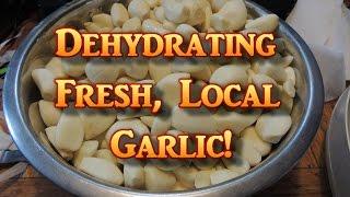 Local Organic Garlic! Dehydrating & Grinding!