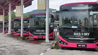 WOW! BAS MY KINI DI IPOH PERAK! | PERAK TRANSIT | BAS PINK | TMSBUS | TMS08LCA