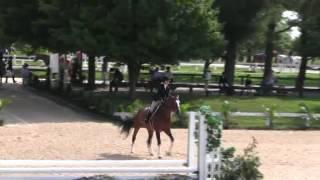 Video of BAYBERRY ridden by ASHLEY VOGEL from ShowNet!