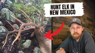 How to Apply for a New Mexico Elk Tag - Get Drawn as a Non-Resident!