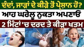 ਦੰਦਾਂ, ਜਾੜਾਂ ਦੇ ਕੀੜੇ ਤੋਂ ਪ੍ਰੇਸ਼ਾਨ ਹੋ?| Nidar Punjabi Media |