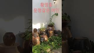 운명같은 여인 #황영웅  #사랑 #행복 #우정 #항아리  #파라다이스   #불타는트롯맨