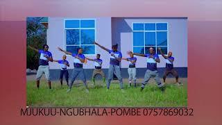 Mjukuu Ngubhala Song Pombe Official Audio