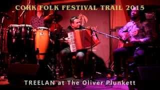 TREELAN 'Errigal' - Cork Folk Festival Trail